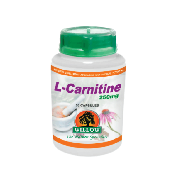 L-Carnitine (250mg) 50 Capsules