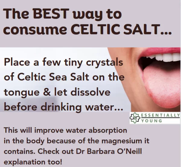 Essentially Young - Celtic Salt - Image 4