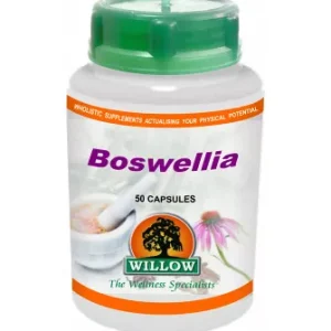 Willow Wellness - Boswellia 500mg