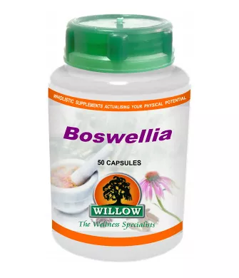 Willow Wellness - Boswellia 500mg
