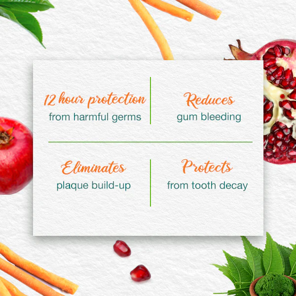 Himalaya - Botanique Turmeric & Coconut Oil Toothpaste - Image 2